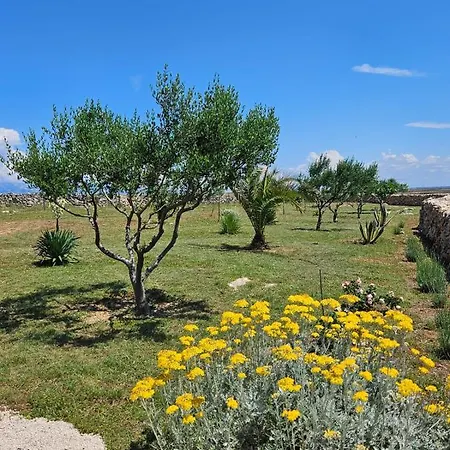 Nyaraló Holiday House Adriana Povljana